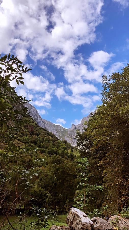 Albergue Villa De Bulnes Bagian luar foto
